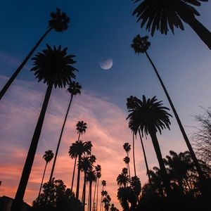 Meet your Posher, Deonté